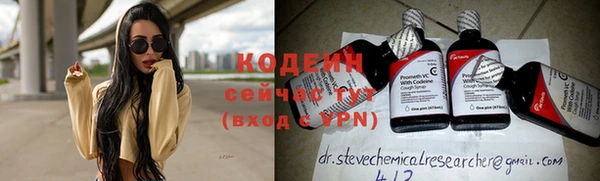 хмурый Бердск