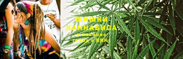 хмурый Бердск