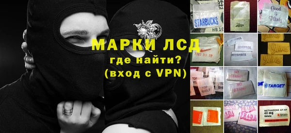 ПСИЛОЦИБИНОВЫЕ ГРИБЫ Кулебаки