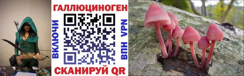 Псилоцибиновые грибы Psilocybine cubensis Торопец