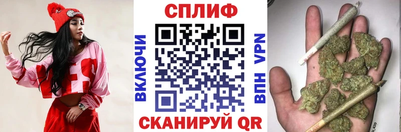 наркотики  Торопец  Бошки марихуана Ganja 